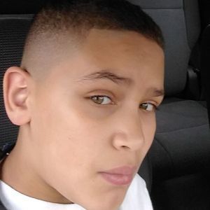 Meet your Posher, Felix